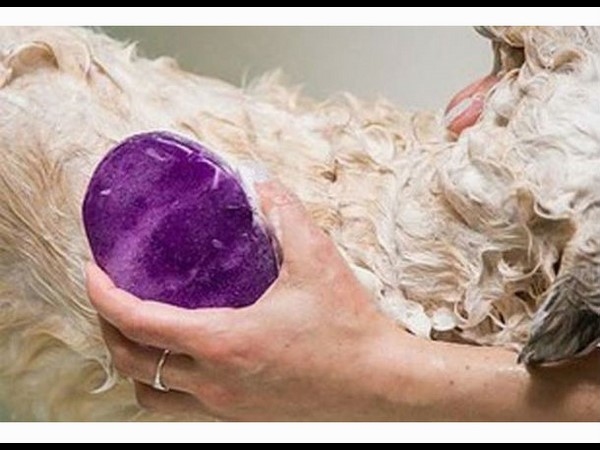 നിങ്ങളുടെ വീട്ടില്‍ കരുതേണ്ട വൃത്തിയാക്കുന്നതിനുളള ഗാഡ്ജറ്റുകള്‍...!