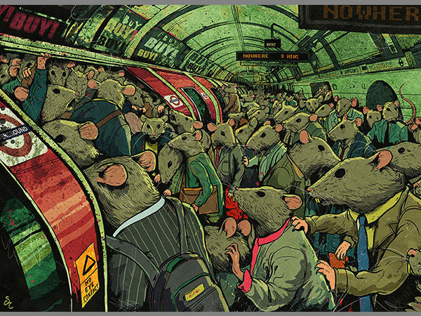 സ്റ്റിവ് കട്ട്‌സ്