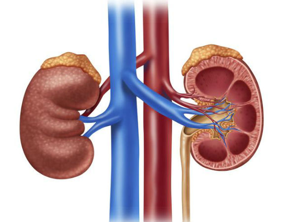 പുതിയ ഐഫോണുകള്‍