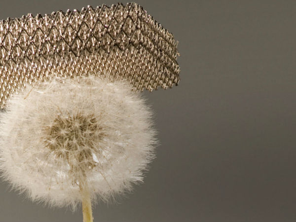 ലോകത്തെ 'കുഞ്ഞ്' മെറ്റല്‍ 