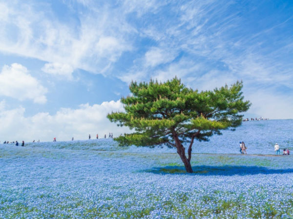 ഫോട്ടോഷോപ്പ് തൊടാത്ത ഫോട്ടോകള്‍