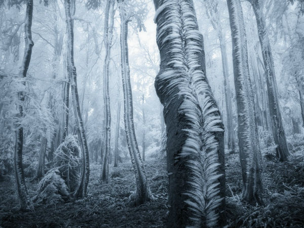 ഫോട്ടോഷോപ്പ് തൊടാത്ത ഫോട്ടോകള്‍