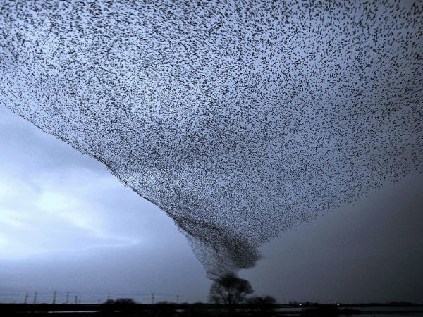 ഫോട്ടോഷോപ്പ് തൊടാത്ത ഫോട്ടോകള്‍