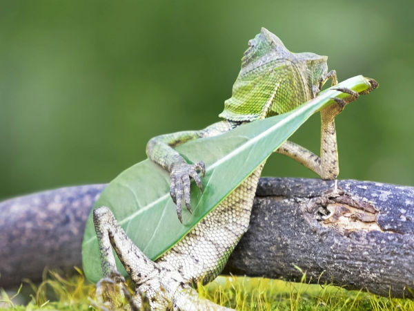 ഫോട്ടോഷോപ്പ് തൊടാത്ത ഫോട്ടോകള്‍