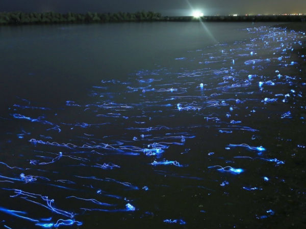 ഫോട്ടോഷോപ്പ് തൊടാത്ത ഫോട്ടോകള്‍