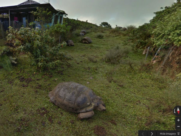 ഗൂഗിള്‍ മാപ്പിലെ സാഹസികതകള്‍