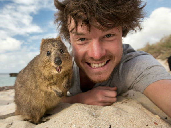 അലന്‍റെ 'മൃഗ-സെല്‍ഫി'കള്‍..!!