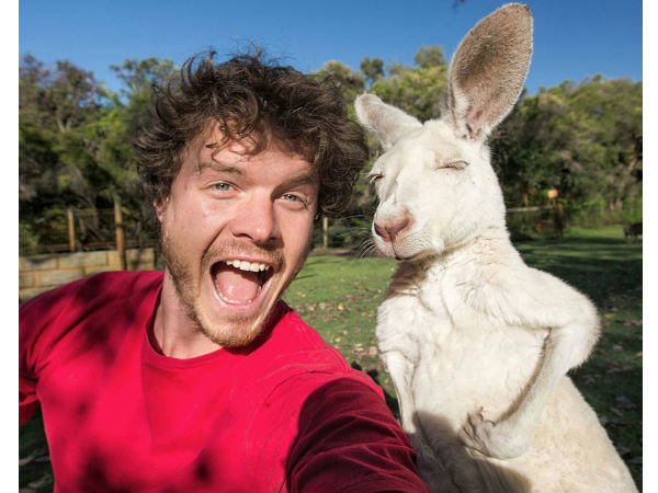 അലന്‍റെ 'മൃഗ-സെല്‍ഫി'കള്‍..!!