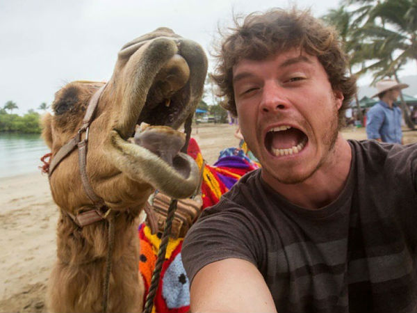 അലന്‍റെ 'മൃഗ-സെല്‍ഫി'കള്‍..!!