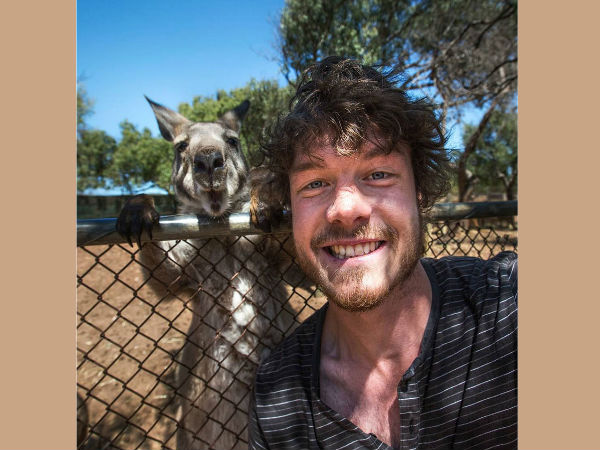 അലന്‍റെ 'മൃഗ-സെല്‍ഫി'കള്‍..!!