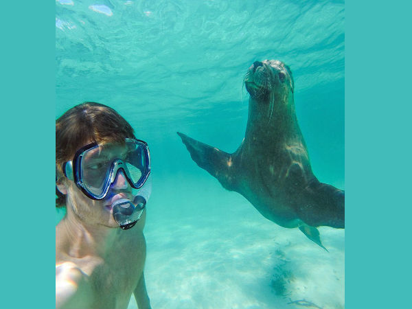 അലന്‍റെ 'മൃഗ-സെല്‍ഫി'കള്‍..!!