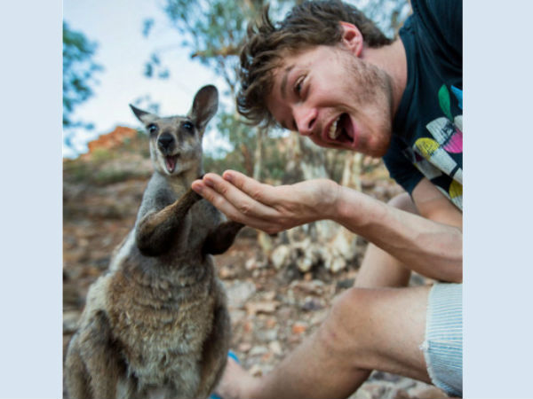 അലന്‍റെ 'മൃഗ-സെല്‍ഫി'കള്‍..!!