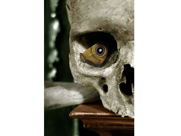 ഫോട്ടോഗ്രഫിയിലെ കണ്‍കെട്ടുകള്‍..!!