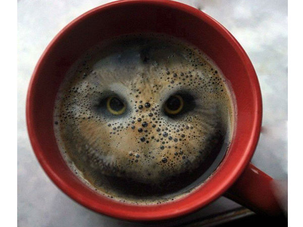 ഫോട്ടോഗ്രഫിയിലെ കണ്‍കെട്ടുകള്‍..!!