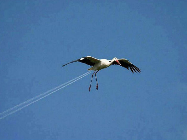 ഫോട്ടോഗ്രഫിയിലെ കണ്‍കെട്ടുകള്‍..!!