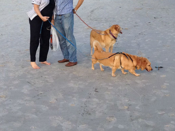 പനോരമ ഫോട്ടോകള്‍ 'പാരാനോര്‍മല്‍' ആയപ്പോള്‍..!!