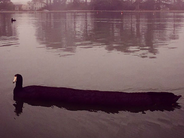 പനോരമ ഫോട്ടോകള്‍ 'പാരാനോര്‍മല്‍' ആയപ്പോള്‍..!!