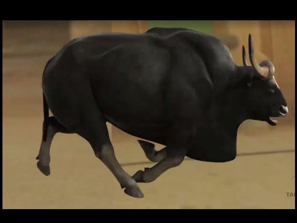 ബാഹുബലിയിലെ കാളപ്പോരിന്‍റെ പിന്നാമ്പുറങ്ങള്‍..!!