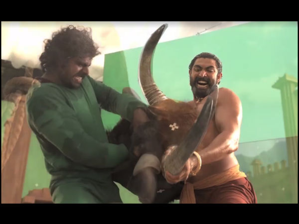 ബാഹുബലിയിലെ കാളപ്പോരിന്‍റെ പിന്നാമ്പുറങ്ങള്‍..!!