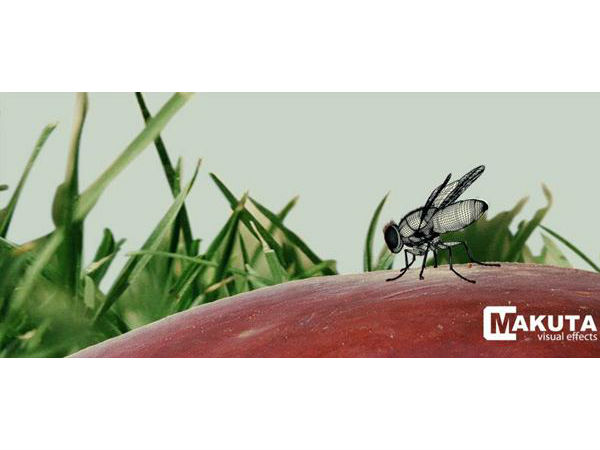 'ഈച്ച'യ്ക്ക് പിന്നില്‍..!! 