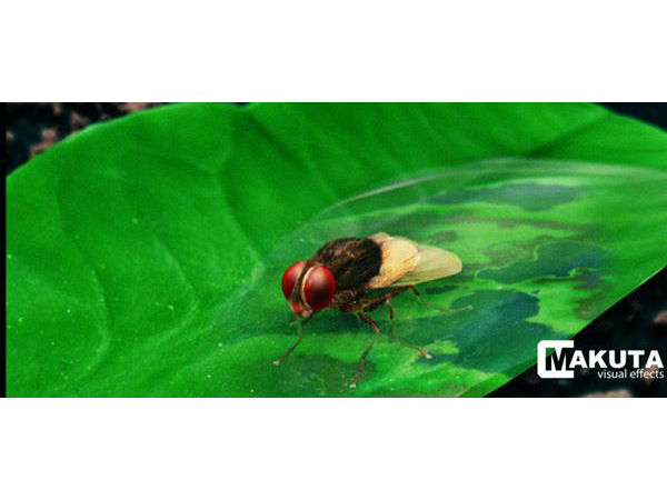 'ഈച്ച'യ്ക്ക് പിന്നില്‍..!! 