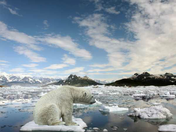 കൂടുതല്‍ കേടുപാടുകള്‍