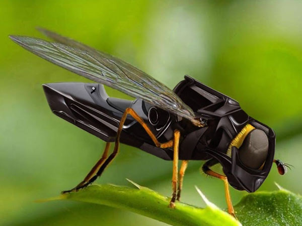 റോബോബീസ്- പറക്കുന്ന മൈക്രോറോബോട്ടുകള്‍