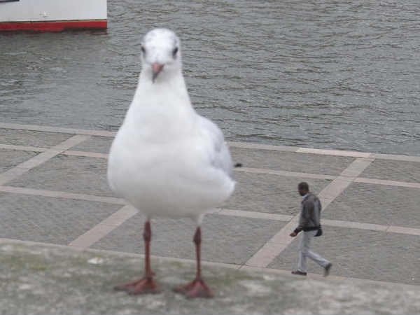 ആശ്ചര്യപ്പെടുത്തുന്ന ഫോട്ടോ