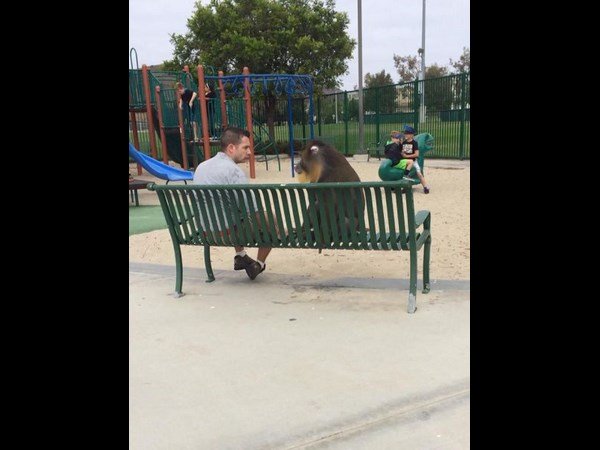 ചര്‍ച്ചയിലാണോ?