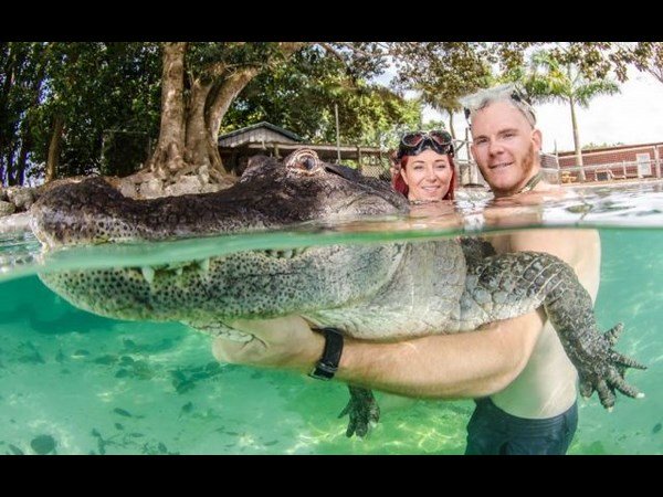 ഇതു കൊളളം