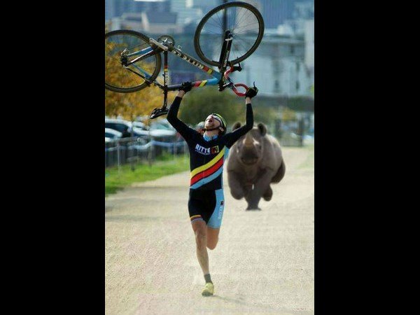 ജീവനും കൊണ്ടുളള ഓട്ടം