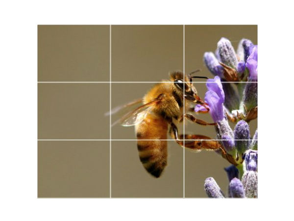 Golden Rule Of Thirds