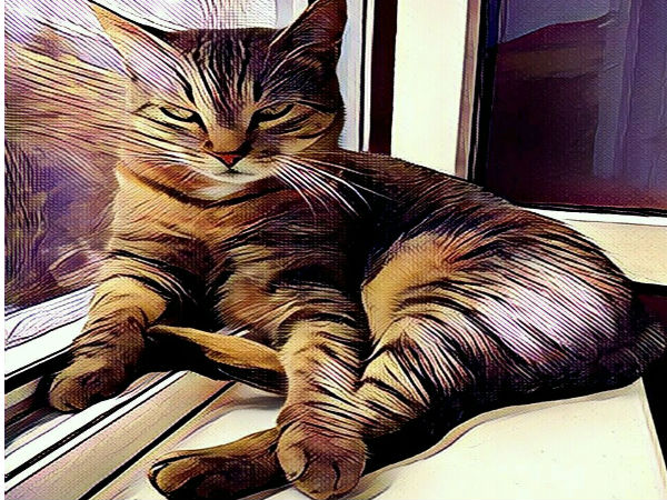  പ്രിസ്മ ബീറ്റ പതിപ്പ്