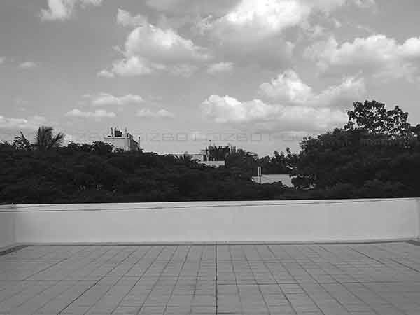 കുറഞ്ഞ വെളിച്ചത്തില്‍ മോണോക്രാം ഷോട്ടുകള്‍