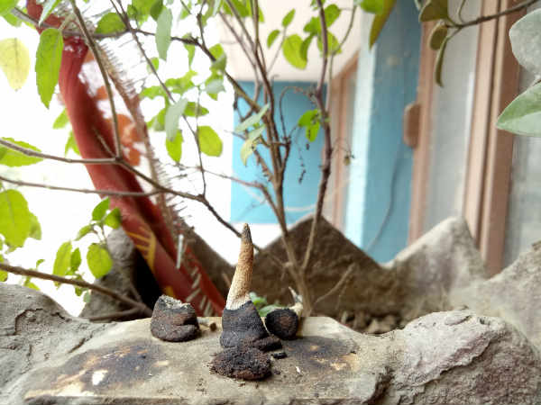 ഓപ്പോ എഫ്3 യുടെ പിന്‍വശത്തെ ക്യാമറ പ്രകടനത്തെ കുറിച്ച് കൂടുതല്‍ മനസ്സിലാക്കാന്‍ സാമ്പിള്‍ ഷോട്ടുകള്‍ നല്‍കാം.