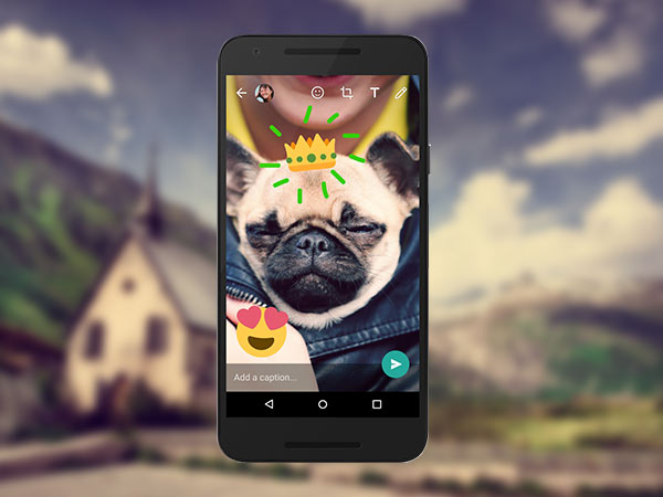 ഫോട്ടോ ഫില്‍റ്ററുകളും ബണ്ടിലിങ്ങ് സവിശേഷതകളും