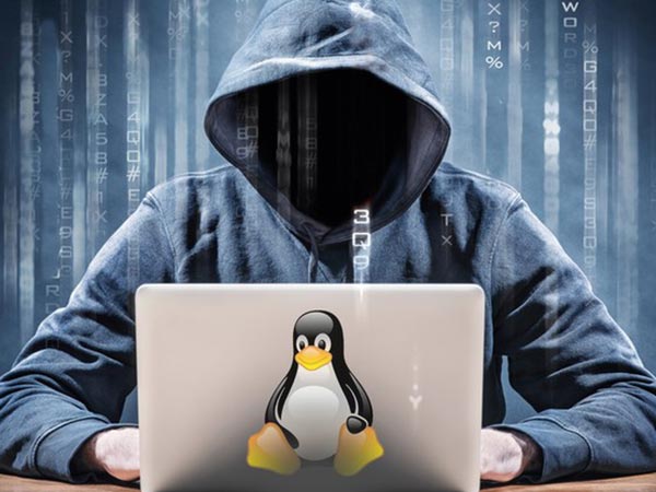 എത്തിക്കല്‍ ഹാക്കിങ്ങ്