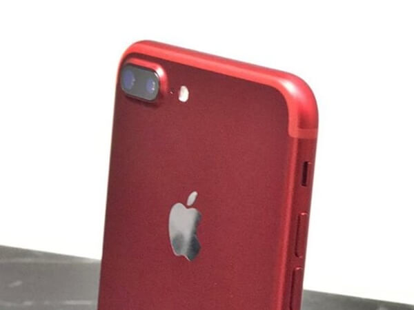 ന്യൂ സിലാന്‍ഡ്