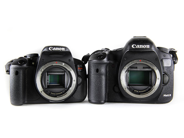 നിങ്ങള്‍ക്ക്‌ ഇണങ്ങുന്നത്‌ ഏതാണ്‌?