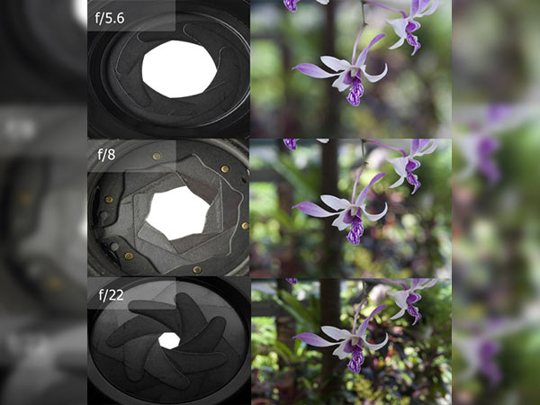 ഡിഒഎഫ് നിര്‍ണയിക്കുക