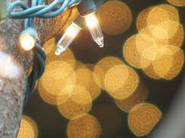 സ്‌റ്റെപ്പ് 2