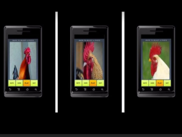 ചിക്കന്‍ പസില്‍ (Chicken Puzzle)