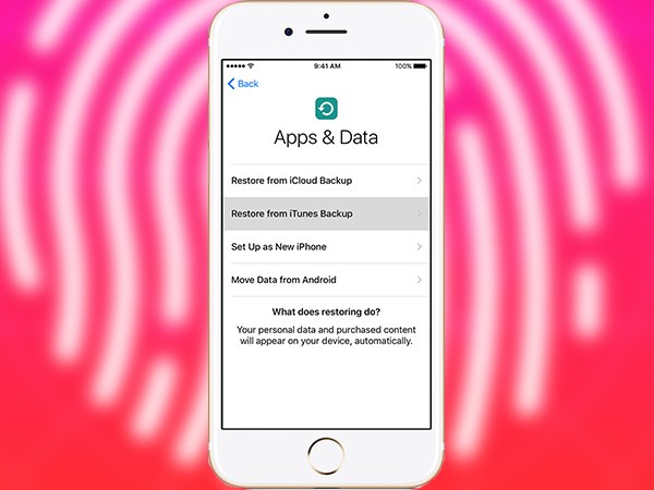 8. ബാക്ക് അപ്പ് റീസ്റ്റോർ ചെയ്യൽ
