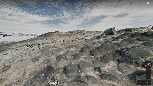 1. അഡിലി പെൻഗ്വിൻ റുക്കറി - കേപ്പ് റോഡ്സ്, അന്റാർട്ടിക്ക