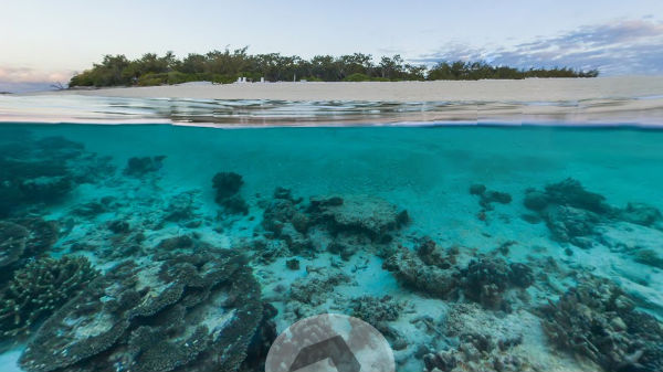 10. വിൽസൺ ഐലൻഡ് - ഗ്രേറ്റ് ബാരിയർ റീഫ്, ആസ്ത്രേലിയ