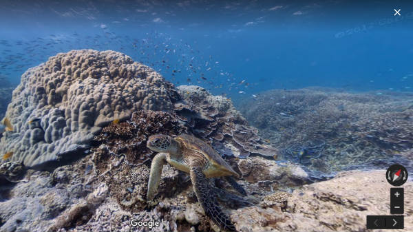 9. ഹെറോൺ ദ്വീപ് - ഗ്രേറ്റ് ബാരിയർ റീഫ്, ഓസ്ട്രേലിയ