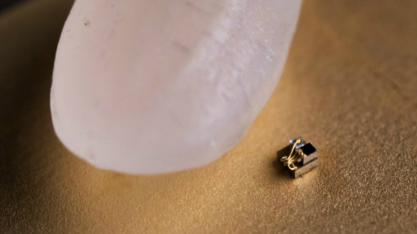 ക്യാൻസർ ചികിത്സയിൽ വരെ സഹായിക്കും