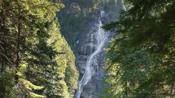 സംഭവിച്ചത്