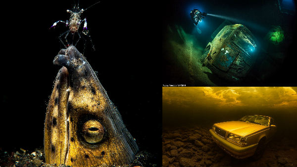 ലോകത്തെ മൊത്തം അത്ഭുതപ്പെടുത്തിയ കടലിനടിയിൽ നിന്നെടുത്ത 18 ചിത്രങ്ങൾ!