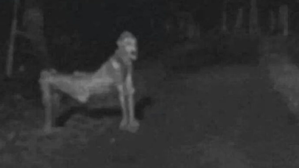 5. ആരായിരിക്കും ഇത്?